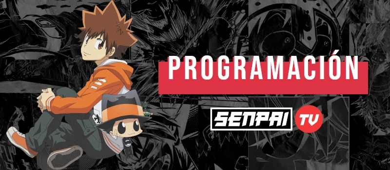 Programación